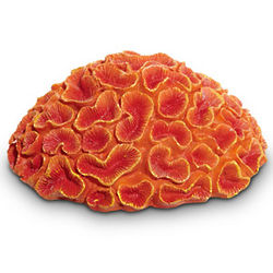 8" Brain Coral Aquarium Ornament