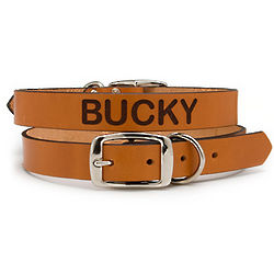 Tan Personalized Leather Collar