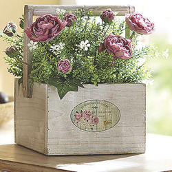 Cabbage Rose Bouquet in Wood Box