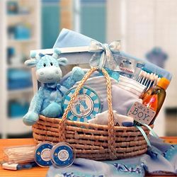 New Arrival Gift Basket in Blue Baby Carrier