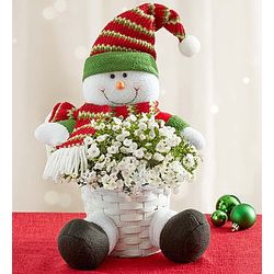 Frosty the Snow Plant and Candle