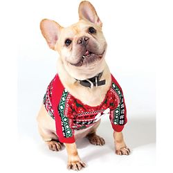 Dog's Lil' Helper Holiday Sweater