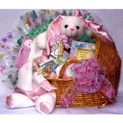 Baby's Small Special Delivery Gift Basket