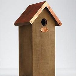 Copper Roof Bird House