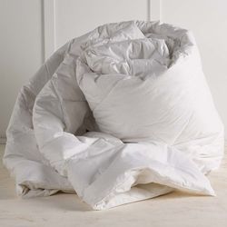 Full/Queen DreamBest Down Comforter