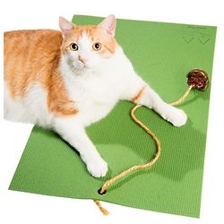 Feline Yoga & Scratch Mat
