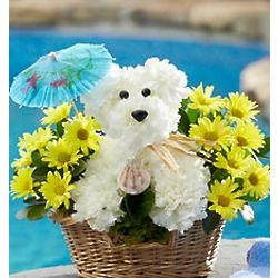 Doggie Paddle Basket of Flowers