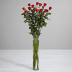 5 Foot Breathtaking Beauty Roses with Vase
