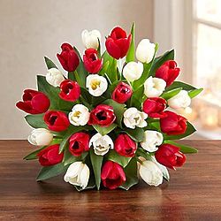 30 Stem Holiday Tulip Bouquet