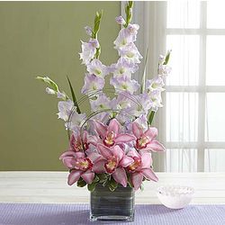 Simply Divine Gladiolus and Orchid Arrangement