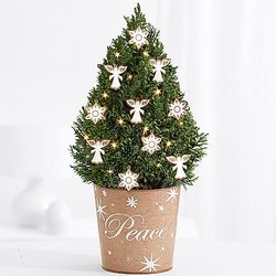 Angels and Snowflakes Miniature Cypress Christmas Tree