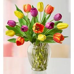 15 Assorted Tulips in Clear Vase