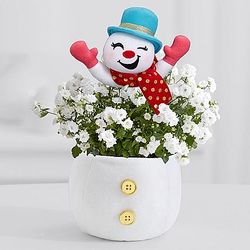 Happy Jolly Snowman Bouquet
