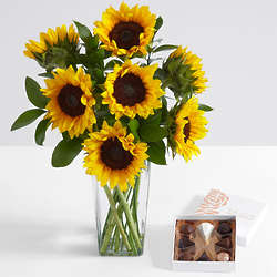 Sunflower Radiance Bouquet with Square Glass Vase and Chocolates