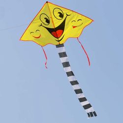 Smiling Face Cartoon Kite