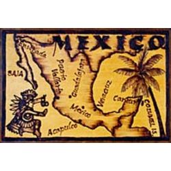Mexico Map Leather Photo Album in Natural