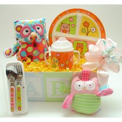 Baby Girl's Owls Dinner Time Gift Basket