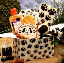 Cute Paw Prints Dog Gift Box