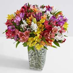 100 Blooms of Peruvian Lilies in Music Vase with Chocolates