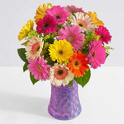 Colorful Gerbera Daisies with Lavender Scallops Vase