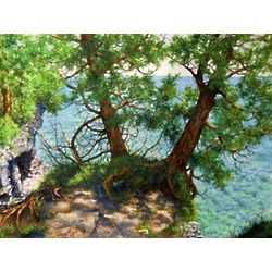 The Natural Beauty of Cave Point Door County Giclee Art Print