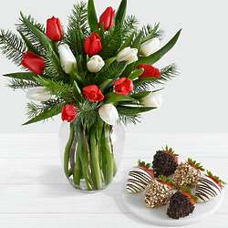 15 Christmas Tulips with 6 Fancy Strawberries