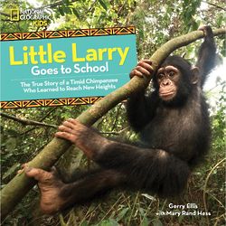 Little Larry Goes to School Children's Book