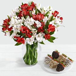 75 Blooms of Candy Cane Peruvian Lilies with 6 Fancy Strawberries