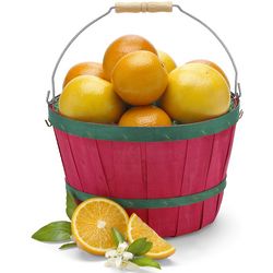 Junior Grove Basket with Orange and Grapefruit Gift Box