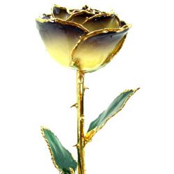 Twilight Gold Trimmed Rose
