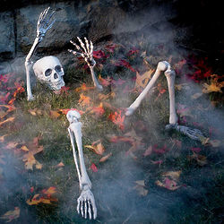 Halloween Groundbreaker Skeleton Decoration