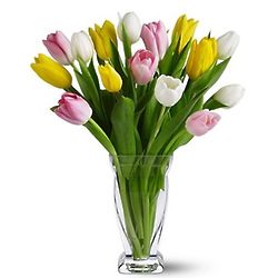 Spring Tulips Bouquet in Vase