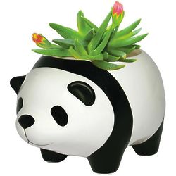 Panda Bear Plant Pot