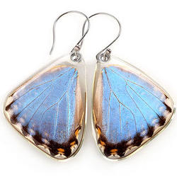 Blue Morpho Portis Butterfly Earrings