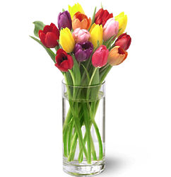Bright Lights Spring Tulip Bouquet