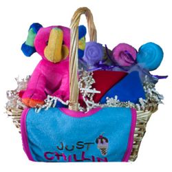 Great Arrivals Baby Gift Basket