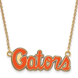 Florida Gators Small Gold Plated Sterling Silver Enamel Necklace