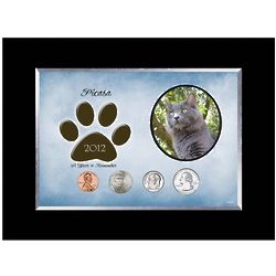 Personalized Cat Memorial Picture Frame with Coins