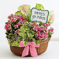 Mom's Perfectly Pink Garden in Basket Planter