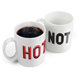 Hot or Not Heat Sensitive Mug