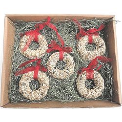 Bird Seed Christmas Wreath Ornament Gift Set