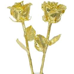 Two 24K Gold Dipped 18" Long Stem Roses