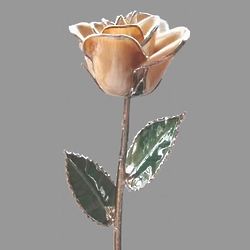 Preserved Platinum Tipped Cream Rose