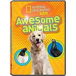 Awesome Animals DVD