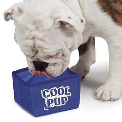 Cool Pup Portable Dog Dish/Bowl