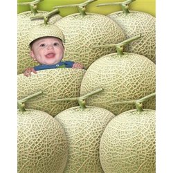 Your Photo in a Cantaloupe Baby