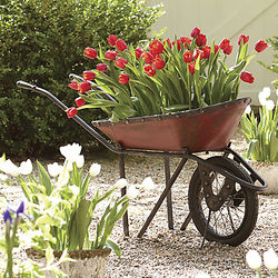 Decorative Garden Wheelbarrow