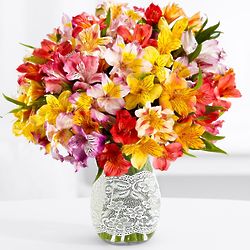 100 Blooms of Peruvian Lilies With Lace Wrap Vase and Chocolates