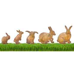 5 Bunny Family Garden Sculptures