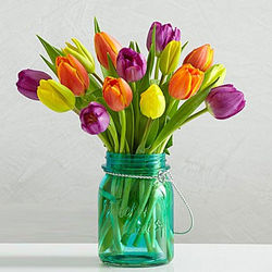 Assorted Tulip Bouquet in Mason Jar